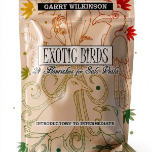 Childrens Music Instruction Book English Language Kindle-0