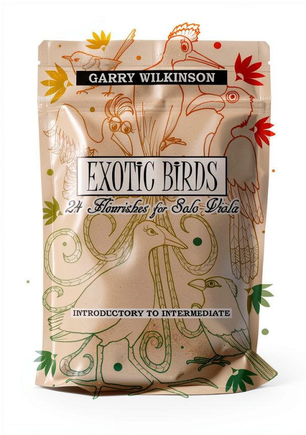 Childrens Music Instruction Book English Language Kindle-0